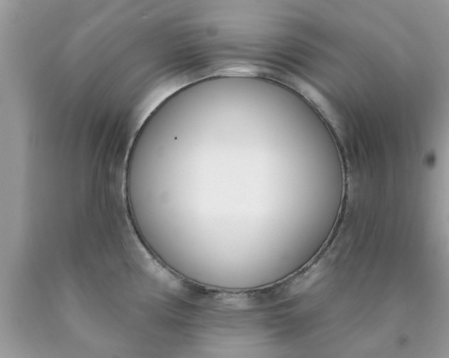 X0000090421194200707272104