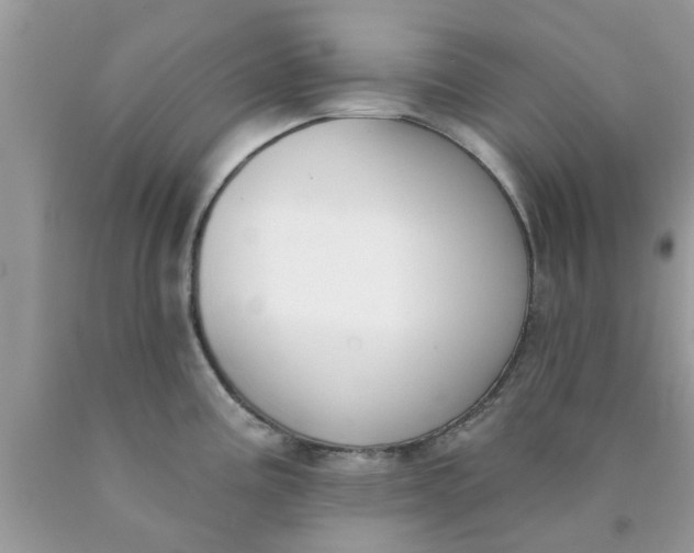 X0000090421195200707272104