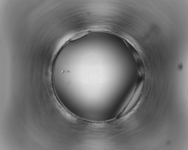 X0000090421196200707272104