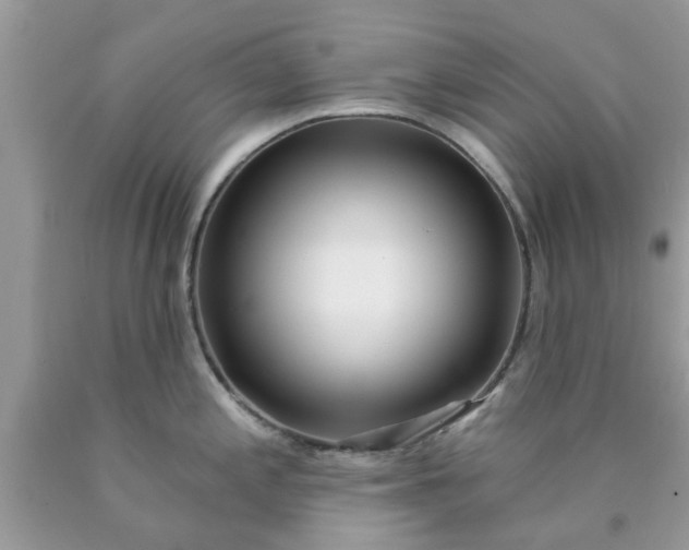 X0000090421197200707272104