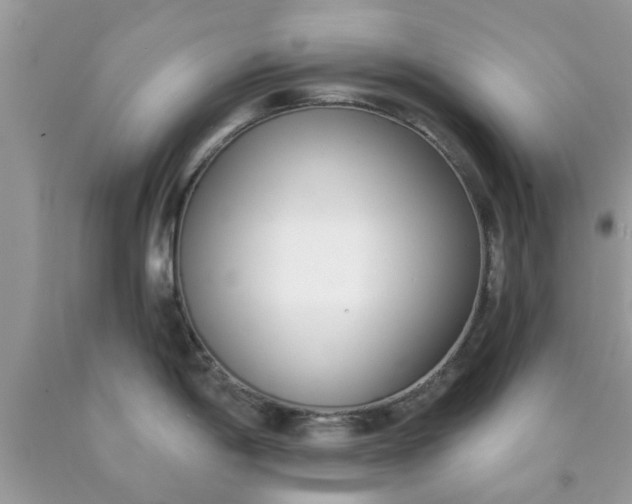 X0000090421198200707272104