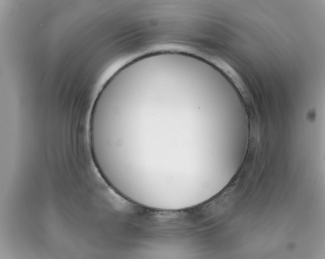 X0000090421199200707272104