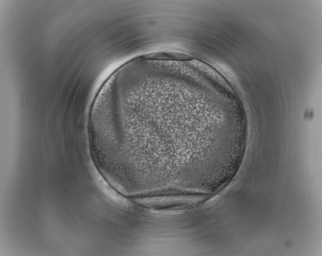 X0000090421200200707272104