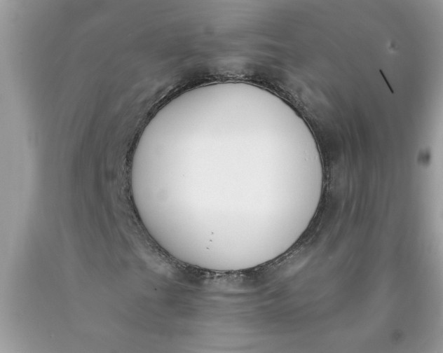 X0000090421201200707272103