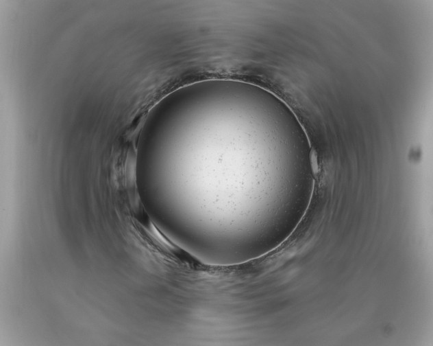 X0000090421202200707272103