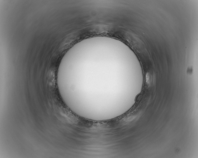 X0000090421203200707272103