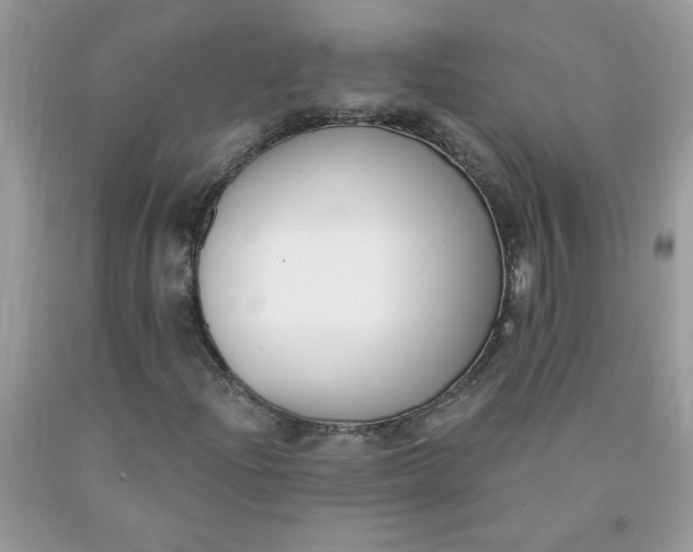 X0000090421204200707272103