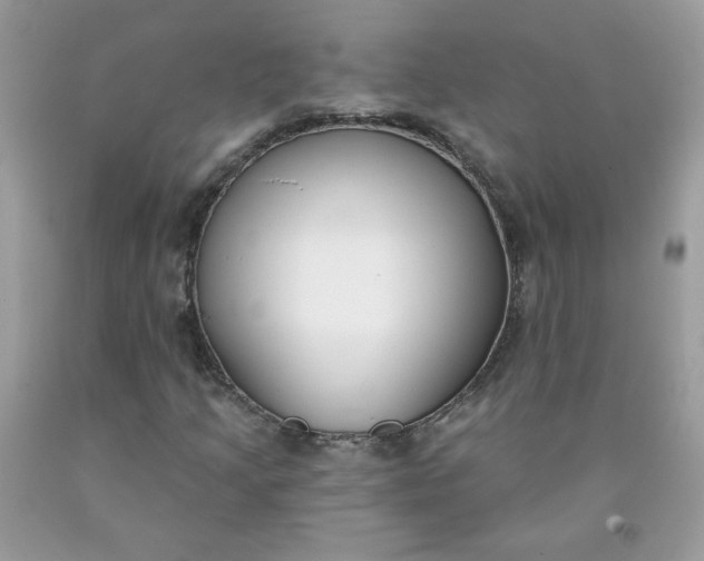 X0000090421205200707272103