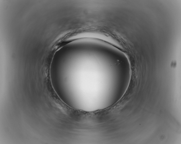 X0000090421206200707272103