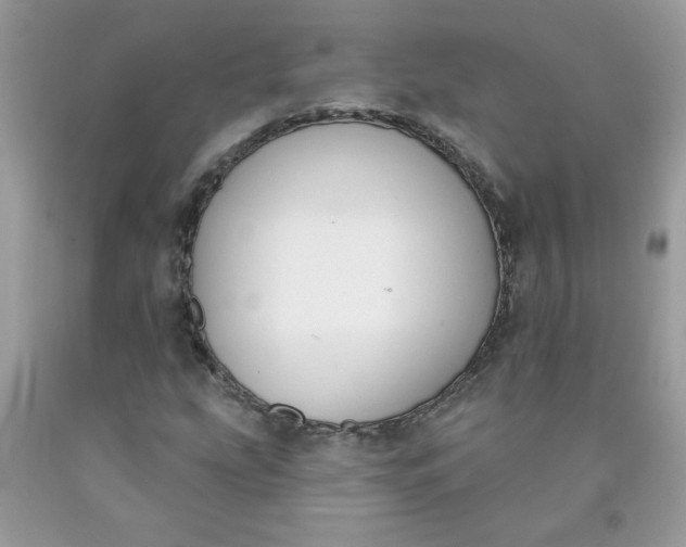 X0000090421207200707272103