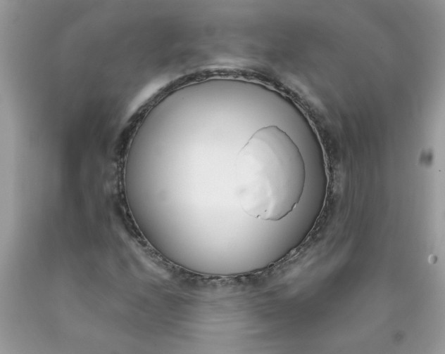 X0000090421208200707272103