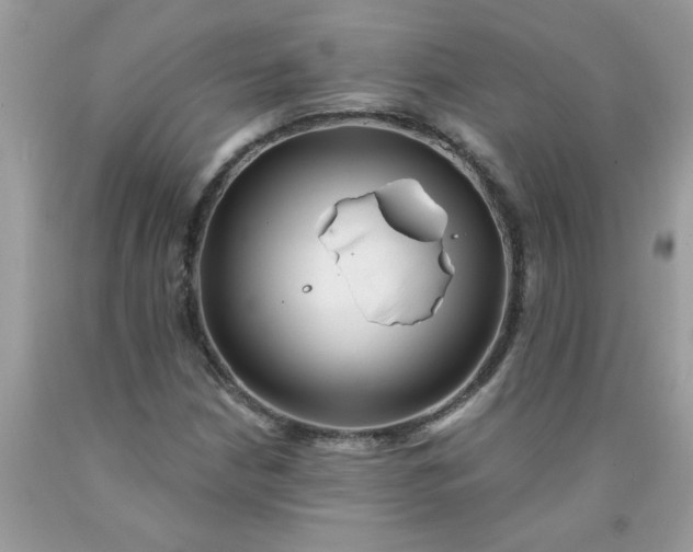 X0000090421210200707272103