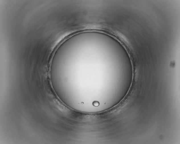 X0000090421212200707272103