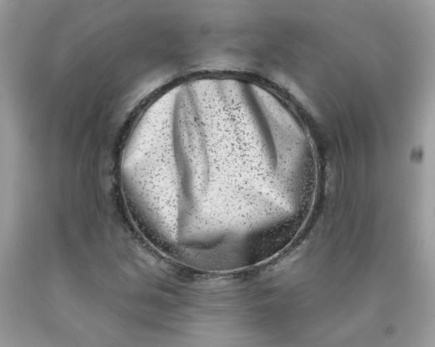 X0000090421213200707272103