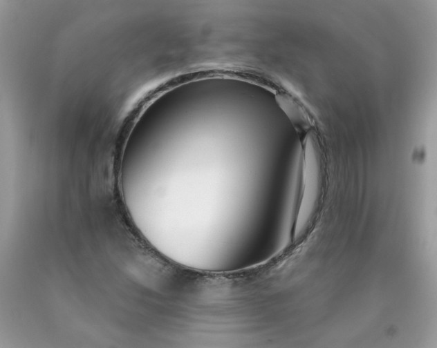 X0000090421214200707272103