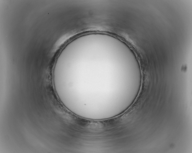 X0000090421215200707272103