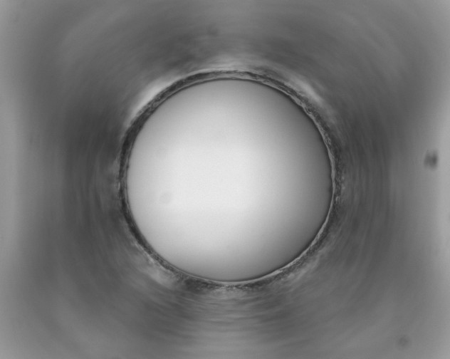 X0000090421216200707272103