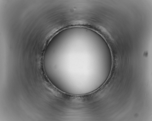 X0000090421217200707272103