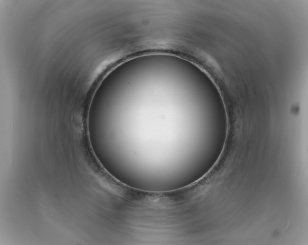 X0000090421218200707272103