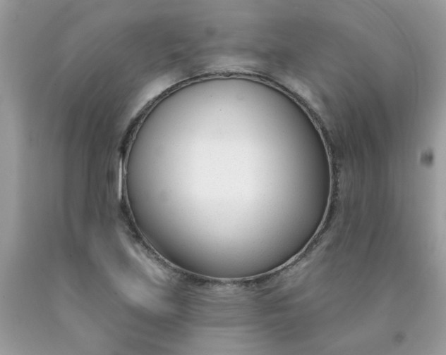 X0000090421219200707272103