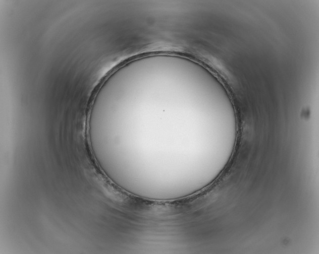 X0000090421220200707272103