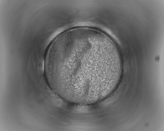 X0000090421221200707272103