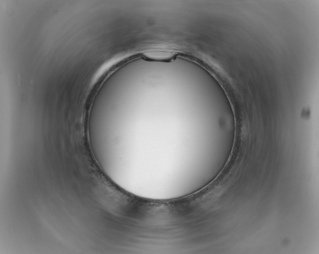 X0000090421222200707272103