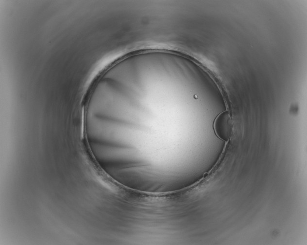 X0000090421223200707272103