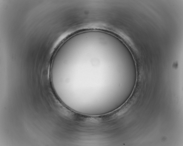 X0000090421224200707272103