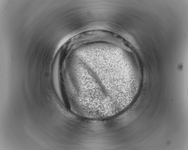 X0000090421226200707272103