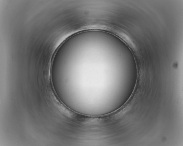 X0000090421228200707272103