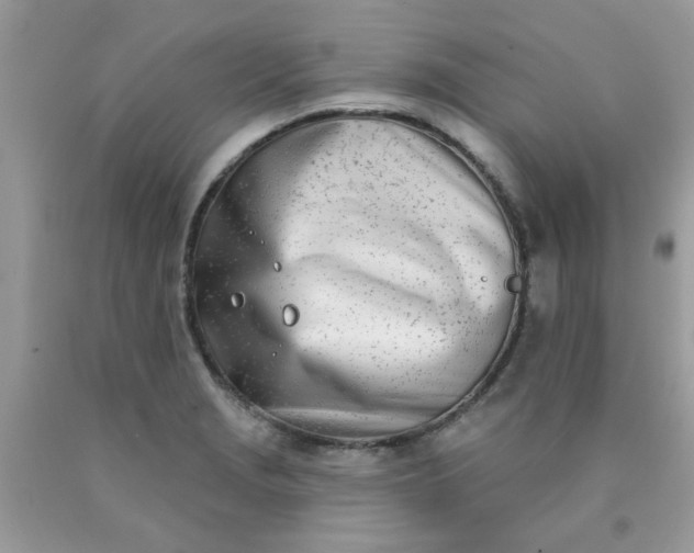 X0000090421229200707272103