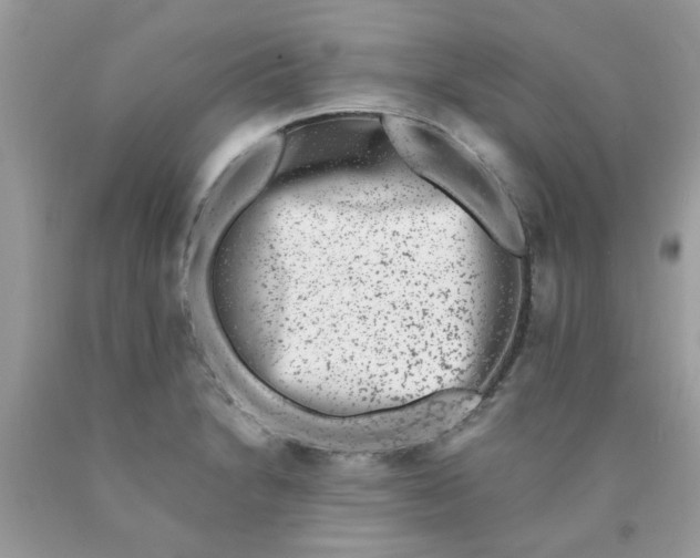 X0000090421230200707272103