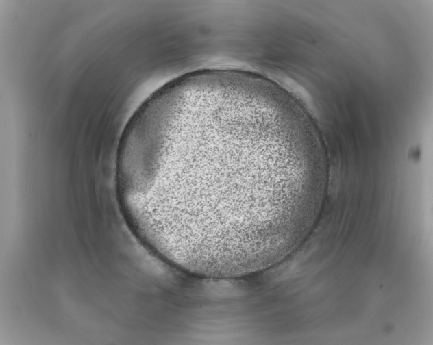 X0000090421231200707272103