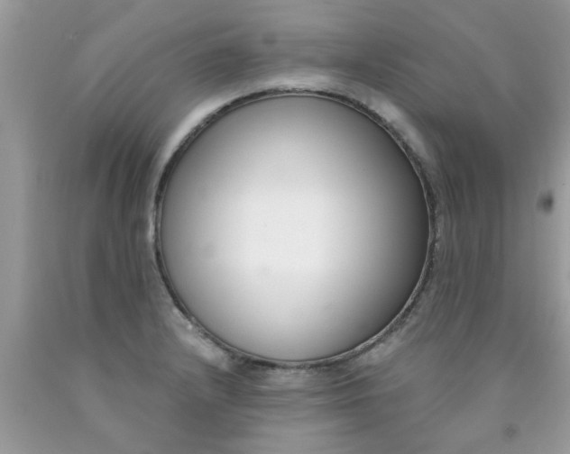 X0000090421232200707272103