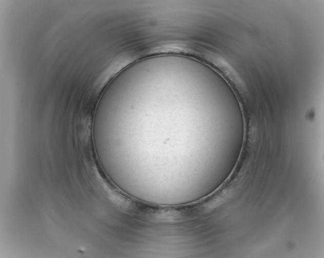 X0000090421233200707272103