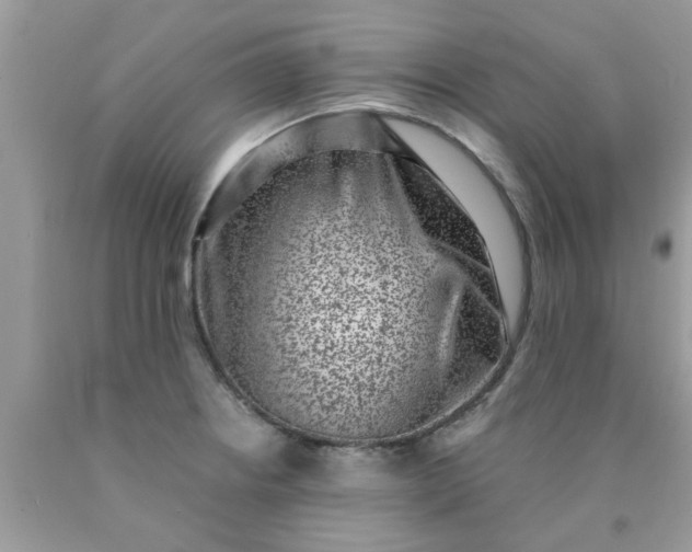 X0000090421234200707272103