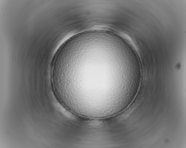 X0000090421235200707272103