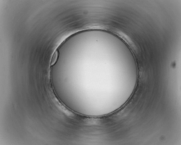 X0000090421236200707272103