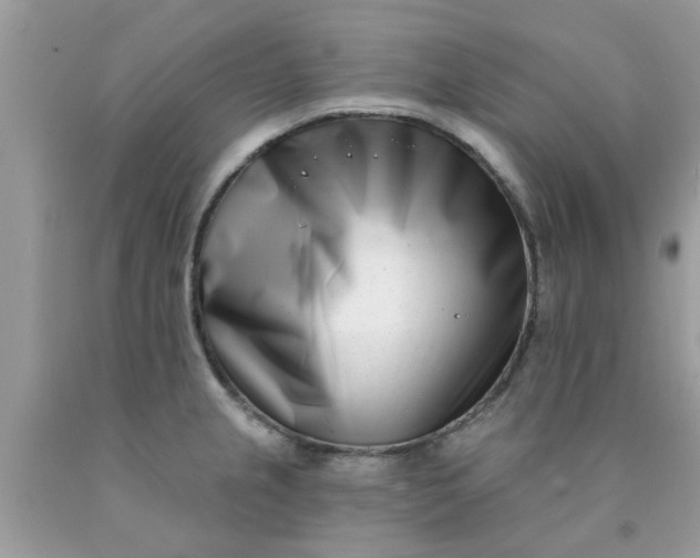 X0000090421237200707272103