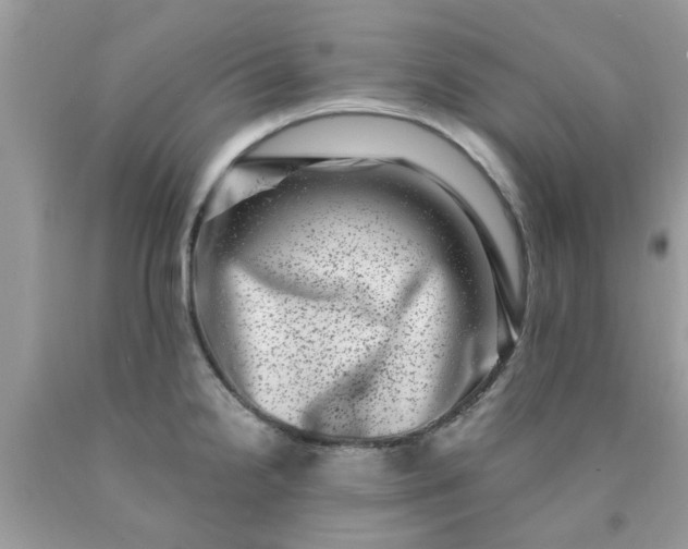 X0000090421238200707272103