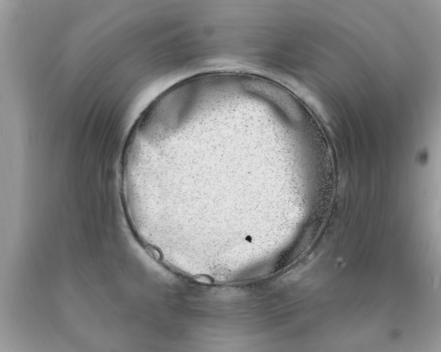 X0000090421239200707272103