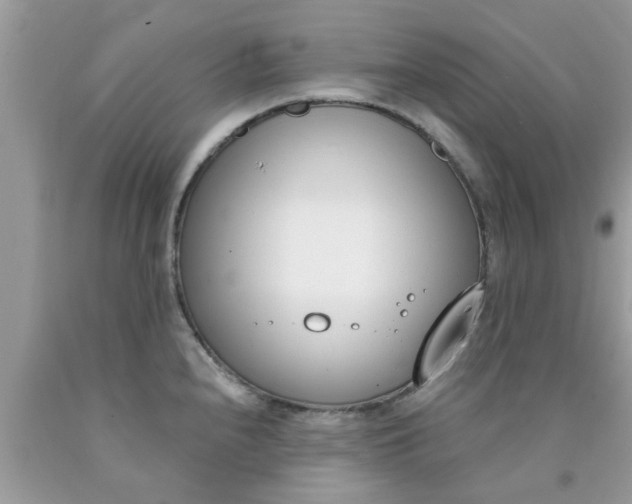 X0000090421240200707272104