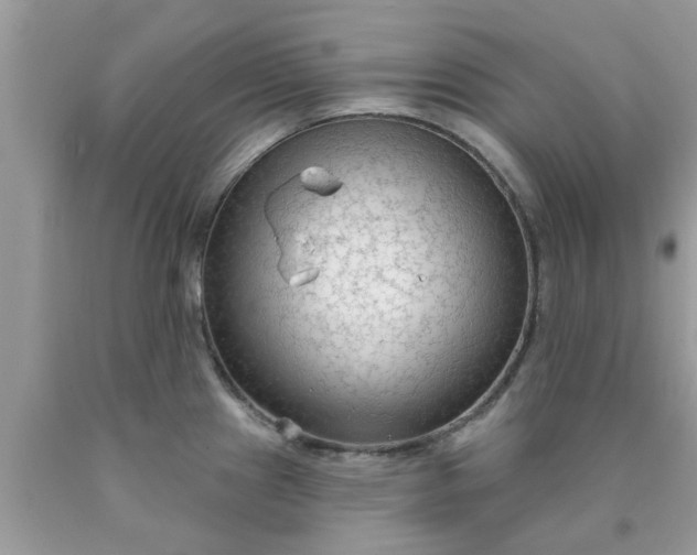 X0000090421241200707272104