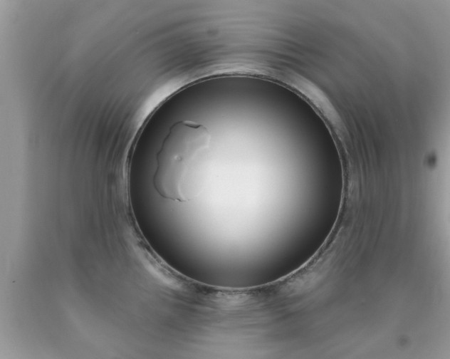 X0000090421242200707272104