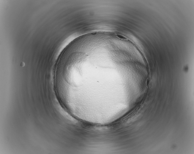 X0000090421243200707272104