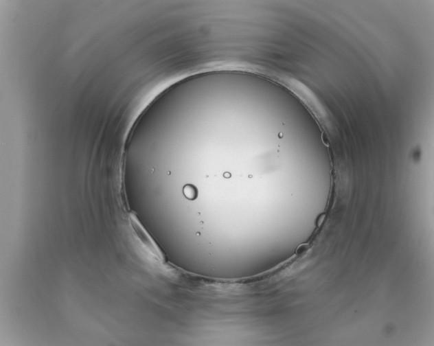 X0000090421244200707272104