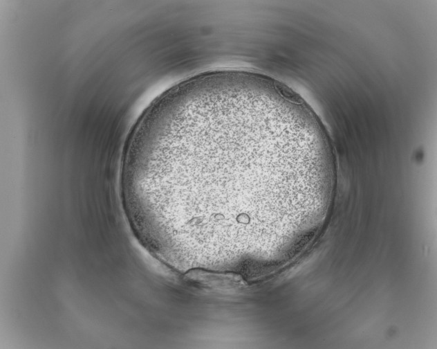 X0000090421245200707272104