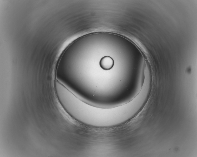 X0000090421246200707272104