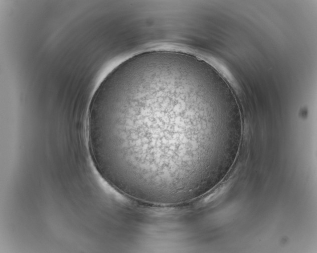 X0000090421247200707272104